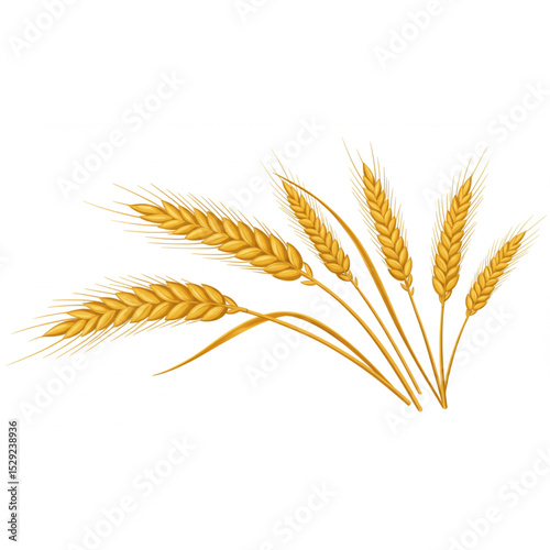 Golden Wheat Stalks Design Element Perfect for Bakery Logos Branding Agriculture Harvest Symbols and Nature Themes