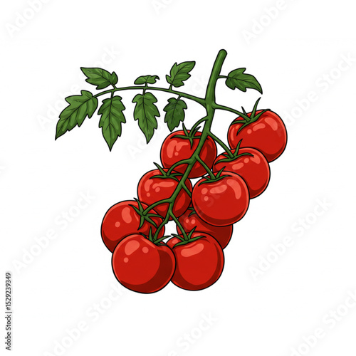 Fresh Cherry Tomatoes on the Vine a Vibrant Scalable Graphic for Food Branding and Design Projects