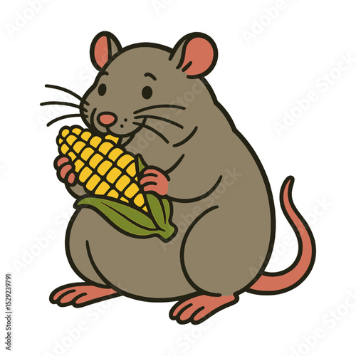 Cartoon rat eating corn on the cob illustration
