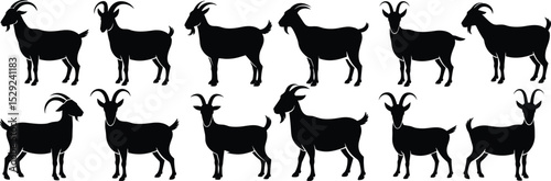 Farm goat silhouette vector set, domestic livestock icons, black goat illustration bundle, standing goat clipart,