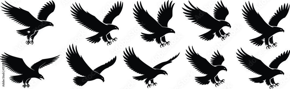 Obraz premium Eagle silhouette collection, flying bird vector, raptor in attack pose, black hawk graphic, predatory bird clipart,