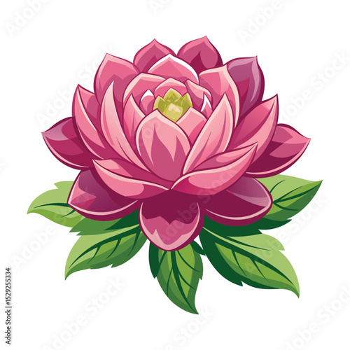 lotus flower vector illustration