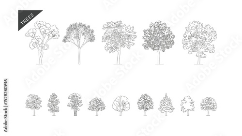 Tree Illustrations: Line Art Vector Tree Silhouettes