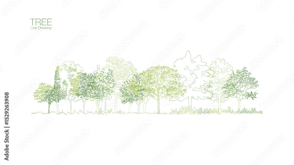 Obraz premium Green Line Drawing Forest Graphic Design Illustration