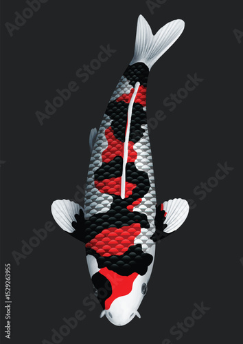 black and white koifish