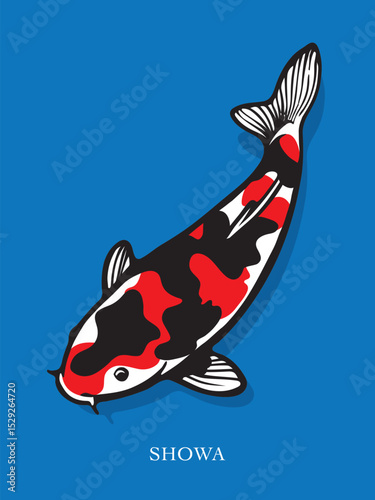 vector illustration of a fish