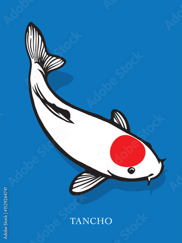 illustration of a fish