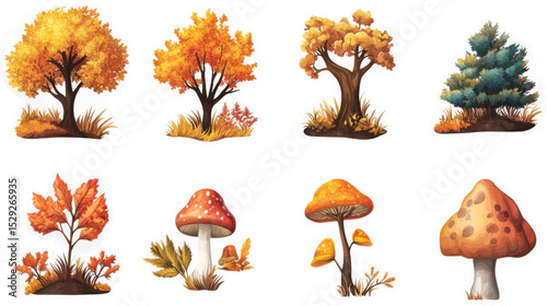 Autumn Nature Scenes with Trees and Mushrooms