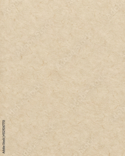 Beige Recycled Paper Texture with Natural Fibers for Eco Design Projects