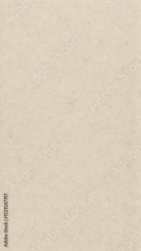 Beige Recycled Paper Texture with Natural Fibers for Eco Design Projects
