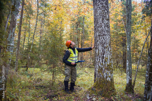An ecologist and forest engineer works in the forest.