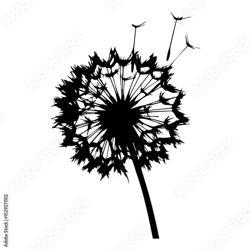 dandelion flower silhouette