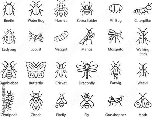 Insects Outline Icons Set, Vector Illustration