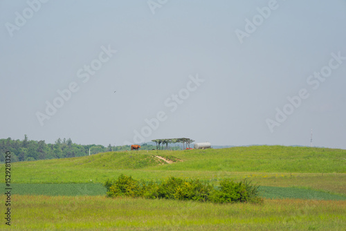Wallpaper Mural Scenic rural landscape with hill and trees near Zurich Airport on a sunny spring day. Photo taken May 1st, 2025, Zurich Oberglatt, Switzerland. Torontodigital.ca