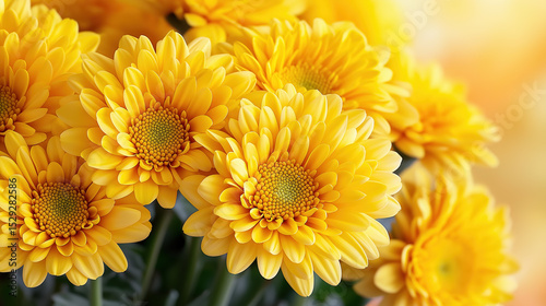 Bright yellow flowers in full bloom create a cheerful display