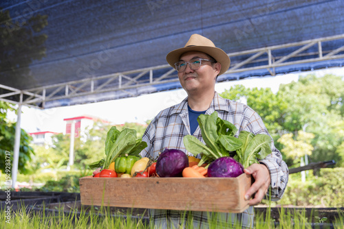 Farmer holding wooden box full of fresh vegetables. Basket with vegetable. Man holding big box with different fresh farm vegetables.