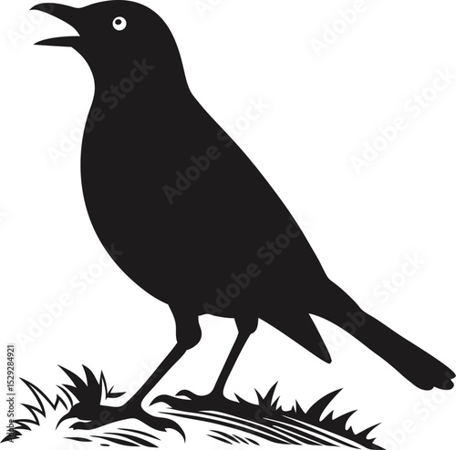Silhouette of a american robin silhouette of a bird with open beak standing on grass