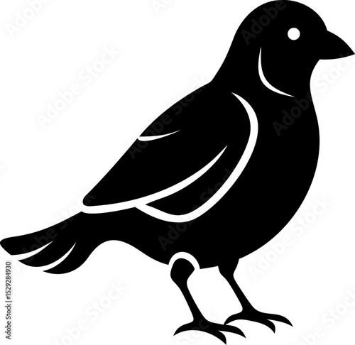 Silhouette of a american robin outline illustration of a small bird standing on a Transparent Background