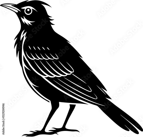 Silhouette of a american robin outline drawing of a bird with visible feathers on Transparent Background
