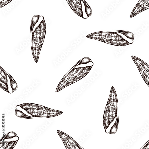 Hand drawn vintage seamless pattern of long spiral seashell in brown ink engraving style, coastal sketch illustration
