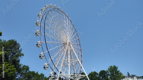 ferris wheel in the park