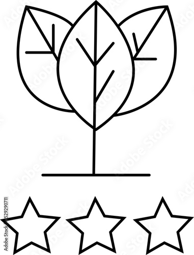 Leaf with star rating icon representing eco-certified, high-rated organic health products – transparent background