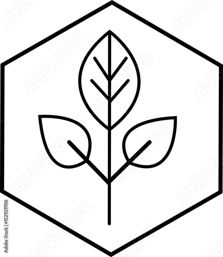 Leaf inside hexagon icon symbolizing organic certification and eco-friendly natural products – transparent background