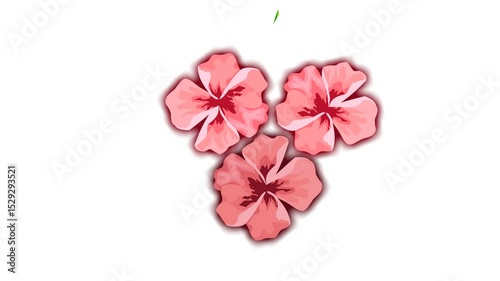 draw three brown flower with leaf on white screen background
