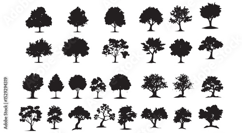 Black Silhouettes of Thirty Diverse Tree Types tree silhouettes