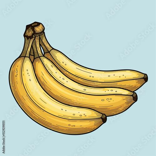 Fresh golden bananas with ripe appearance in bright natural setting