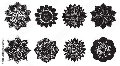 Eight Black and White Floral Designs Botanical Illustrations