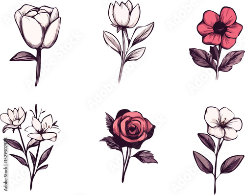 Set of six hand drawn vintage flowers vector illustration isolated on white background concept for print, web, design, banner, poster, sticker, card, and textile design
