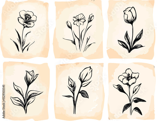 Set of six hand-drawn flowers on vintage paper backgrounds vector illustrations for prints web designs banners posters stickers cards and textile designs