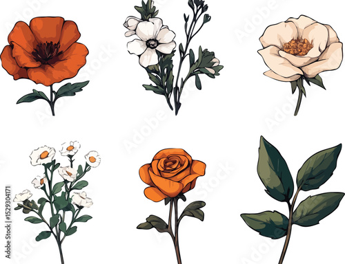 Set of six vector flowers poppy anemone rose chamomile and rose leaves isolated on white background floral elements for design wedding invitations greeting cards patterns prints posters web