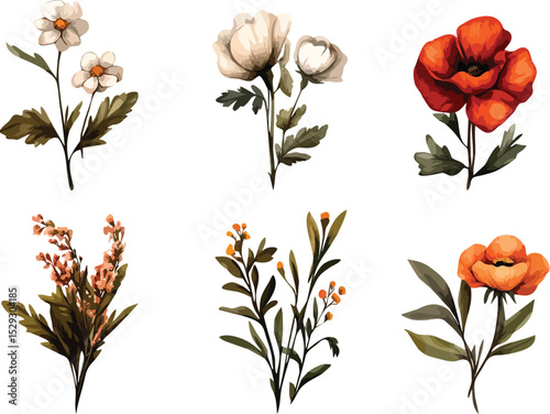 Set of six decorative vector flowers isolated on white background, floral design elements for wedding invitations, greeting cards, posters, and other design projects