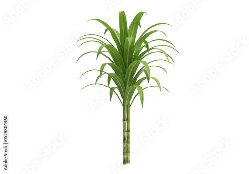 Lush green plant with vibrant leaves, set against a simple background, ideal for nature themes