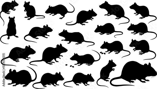 Wallpaper Mural Mouse rat silhouettes set, large pack of vector silhouette design, isolated white background
 Torontodigital.ca