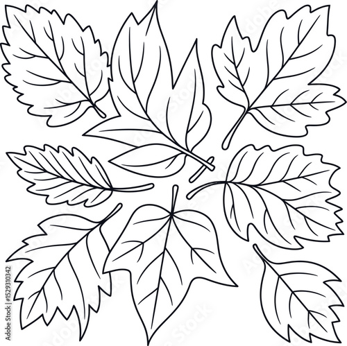 Outlined monochrome leaf collection suitable for autumnal designs and educational materials