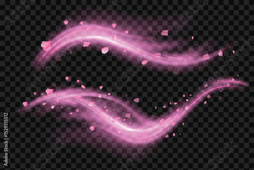 Wind swirls with flower pink petals isolated on transparent background. Vector realistic illustration of spiral air vortex with flying blossom petals, magic dust splash