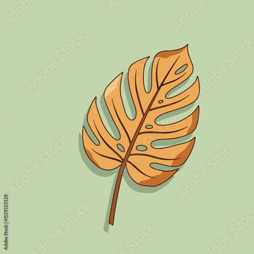 Monstera leaf in dried style on green background