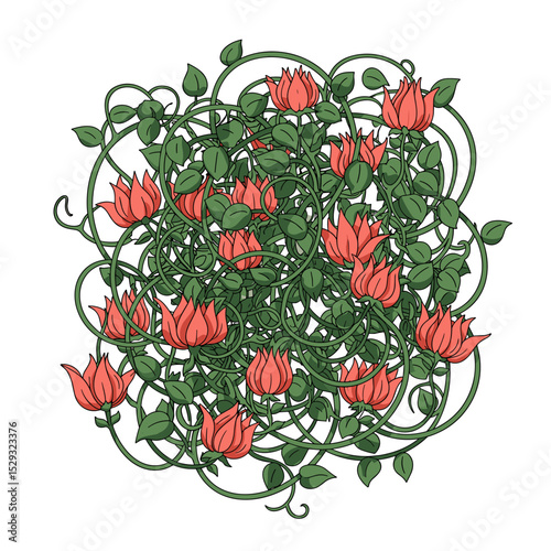 Dense pink rose vine with many curling stems