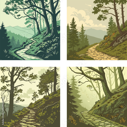 A mountain trail leading through a dense forest. 