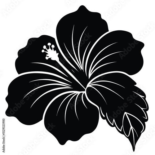 A stylized hibiscus flower blossom with prominent stamen and detailed veins is shown in black