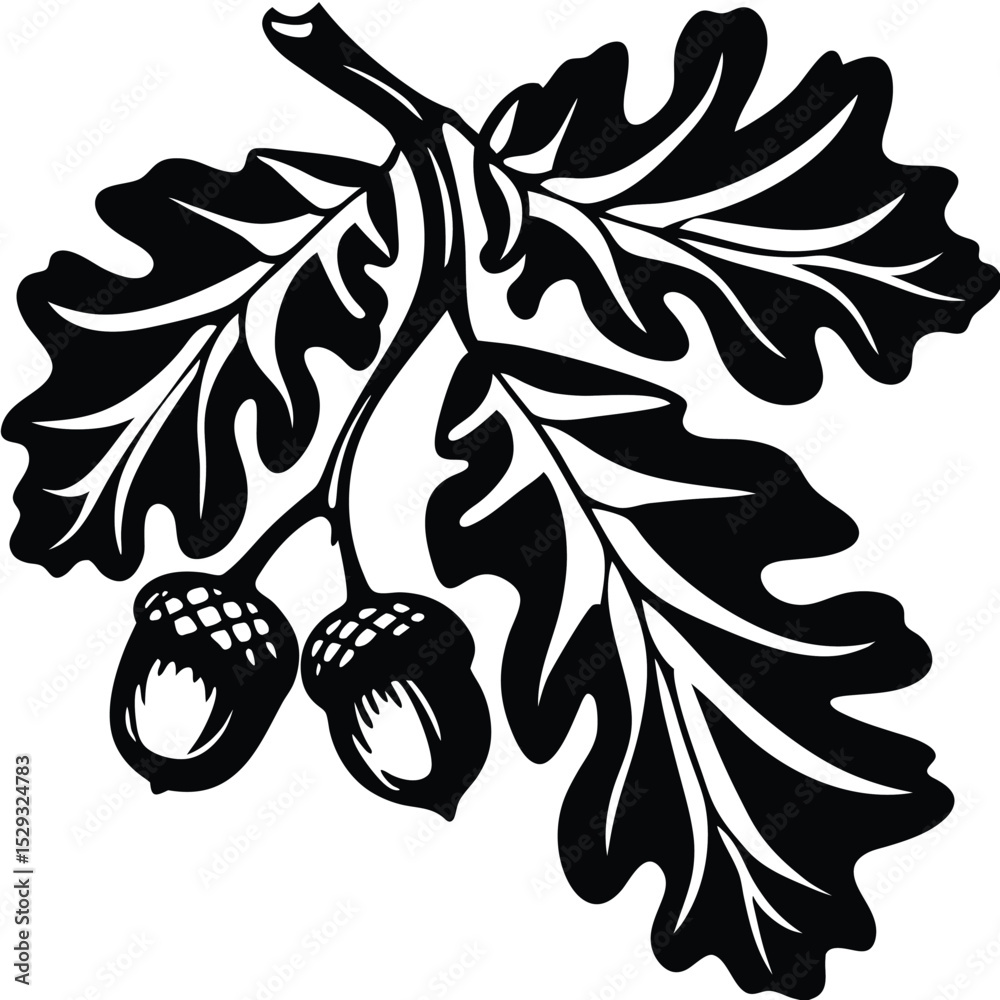 custom made wallpaper toronto digitalAn oak branch with two acorns showcases the beauty of nature artfully