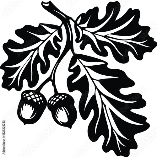 Wallpaper Mural An oak branch with two acorns showcases the beauty of nature artfully Torontodigital.ca