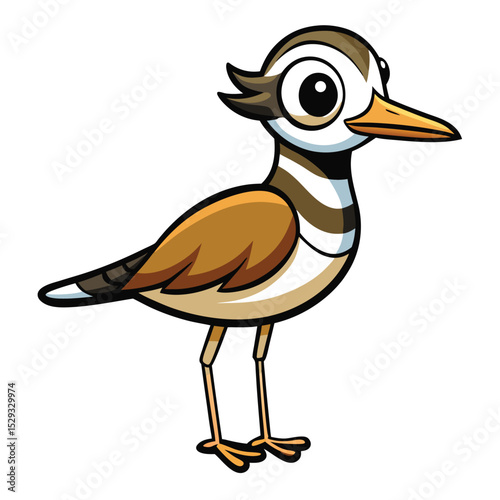 Cartoon killdeer bird stands prominently showing its colorful plumage and detailed design