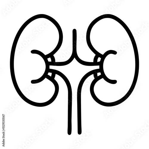 Kidneys icon