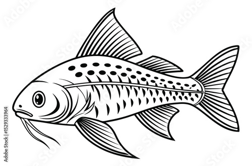 Corydoras Catfish Line Art – Detailed Black and White Illustration