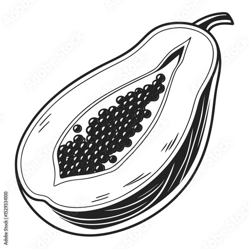 Detailed monochrome papaya half presents an intricate seed cluster and clean line art