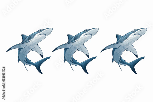  Powerful Shark Vector Design